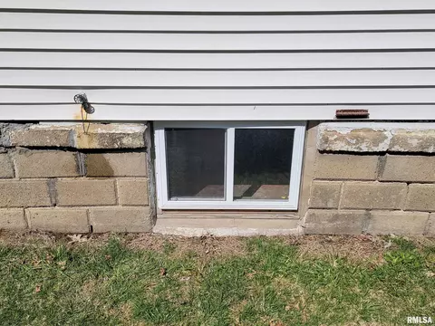 Exterior - 437 S Main St, Flora, IL 62839 photo 9 of 21