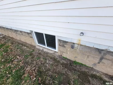 Exterior - 437 S Main St, Flora, IL 62839 photo 16 of 21