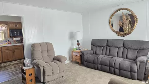 2424 Jones St, Eldorado, IL 62930 photo 7
