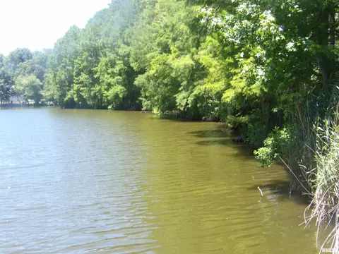 13815 Robin Rd, Benton, IL 62812 photo 17