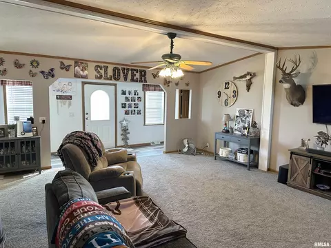 1219 Buchanan Rd, Iuka, IL 62849 photo 19