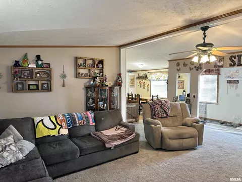 1219 Buchanan Rd, Iuka, IL 62849 photo 18
