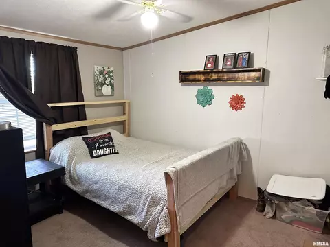 1219 Buchanan Rd, Iuka, IL 62849 photo 33