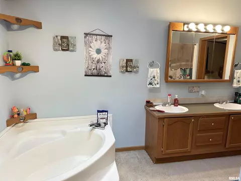 1219 Buchanan Rd, Iuka, IL 62849 photo 27