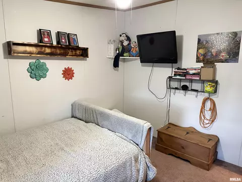 1219 Buchanan Rd, Iuka, IL 62849 photo 34