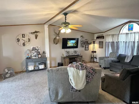 1219 Buchanan Rd, Iuka, IL 62849 photo 15