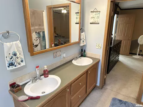 1219 Buchanan Rd, Iuka, IL 62849 photo 26