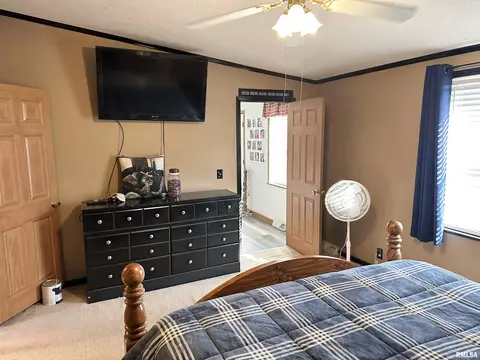 1219 Buchanan Rd, Iuka, IL 62849 photo 25