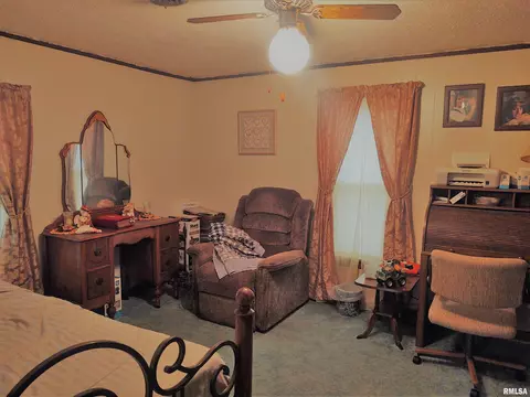 2315 Flatt Woods Rd, Simpson, IL 62985 photo 9