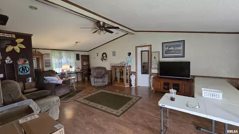 3110 Devillez Rd, Muddy, IL 62965 photo 13