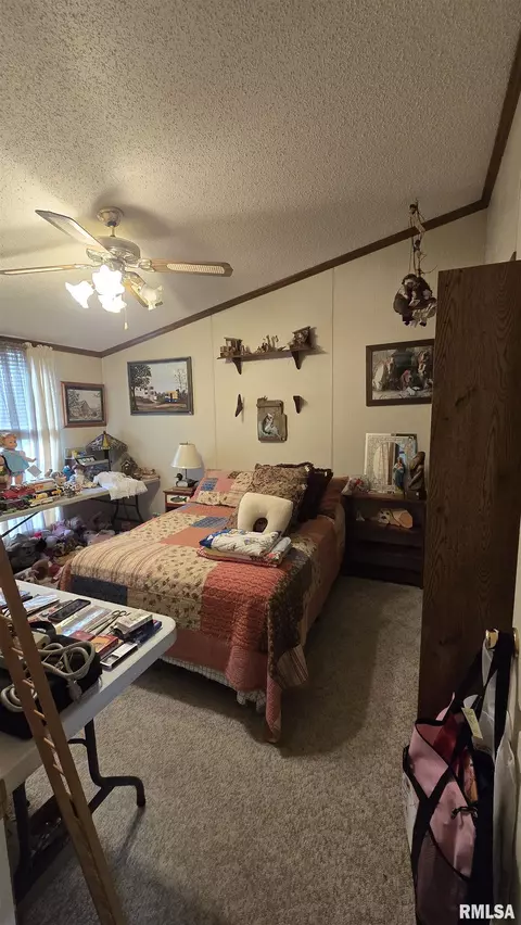 3110 Devillez Rd, Muddy, IL 62965 photo 26