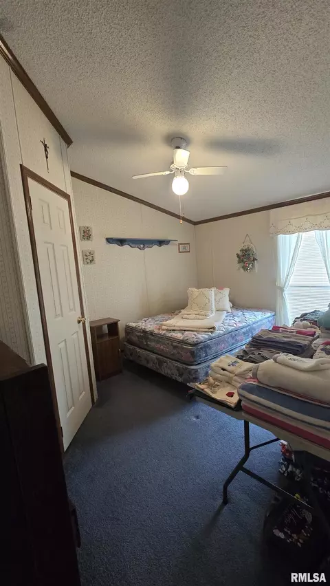 3110 Devillez Rd, Muddy, IL 62965 photo 24