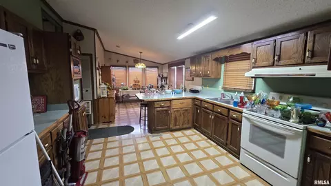 3110 Devillez Rd, Muddy, IL 62965 photo 20