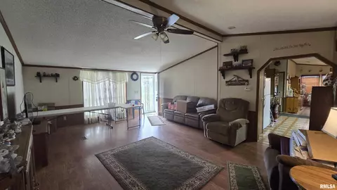 3110 Devillez Rd, Muddy, IL 62965 photo 14