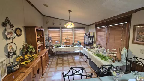 3110 Devillez Rd, Muddy, IL 62965 photo 22