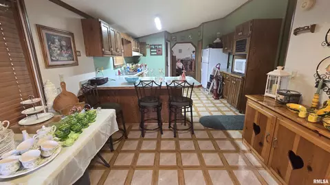 3110 Devillez Rd, Muddy, IL 62965 photo 21