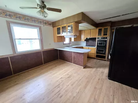 278 E Jackson St, Ashley, IL 62808 photo 11