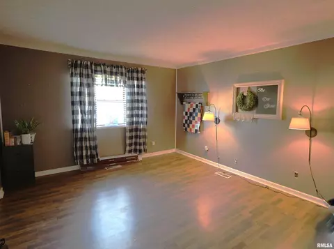 7 Phyllis Dr, Centralia, IL 62801 photo 20