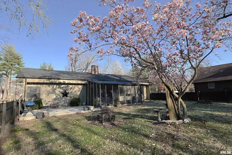 7 Phyllis Dr, Centralia, IL 62801 photo 29