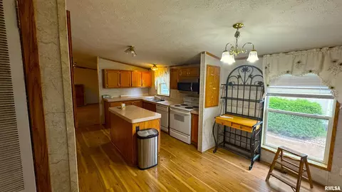 325 Lincoln St, Hurst, IL 62949 photo 3