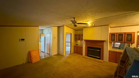 325 Lincoln St, Hurst, IL 62949 photo 4