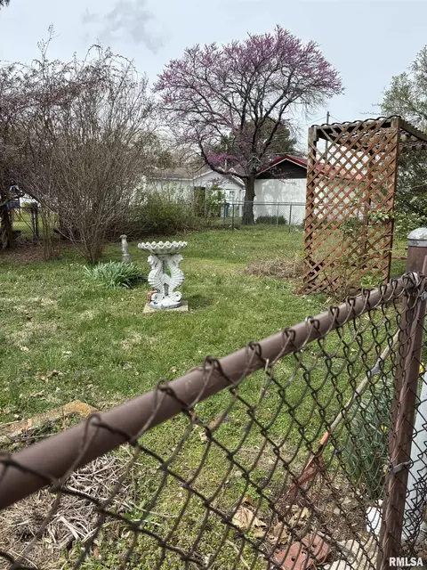 303 S Emma St, Christopher, IL 62822 photo 3