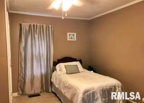 807 E 5th St, Metropolis, IL 62960 photo 11