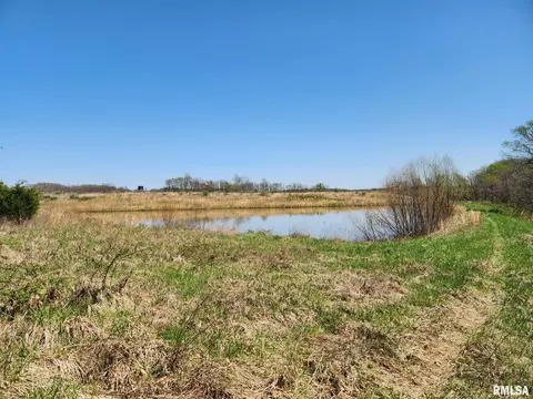 0000 N Flamingo Ln, Scheller, IL 62883 photo 10