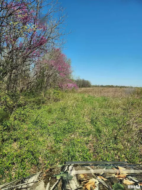0000 N Flamingo Ln, Scheller, IL 62883 photo 6