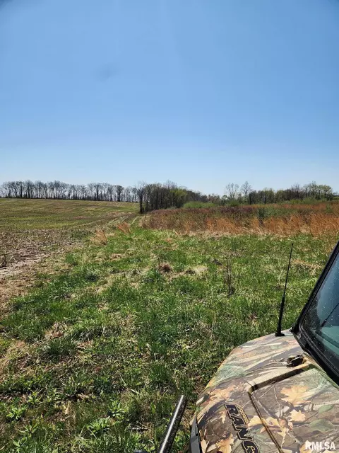 0000 N Flamingo Ln, Scheller, IL 62883 photo 9