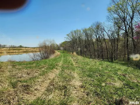 0000 N Flamingo Ln, Scheller, IL 62883 photo 11