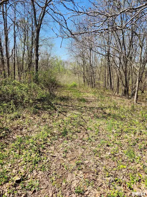 0000 N Flamingo Ln, Scheller, IL 62883 photo 7