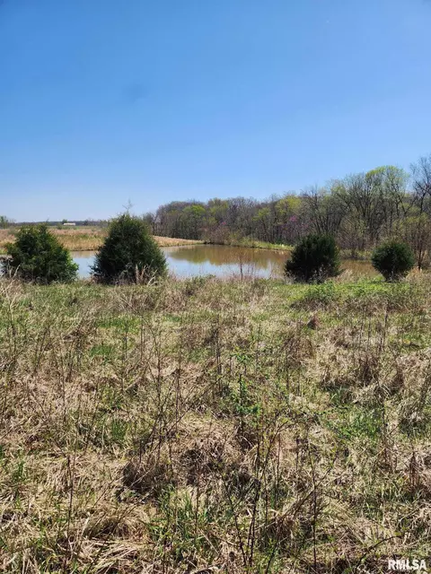 0000 N Flamingo Ln, Scheller, IL 62883 photo 4