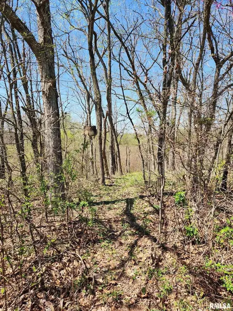 0000 N Flamingo Ln, Scheller, IL 62883 photo 12
