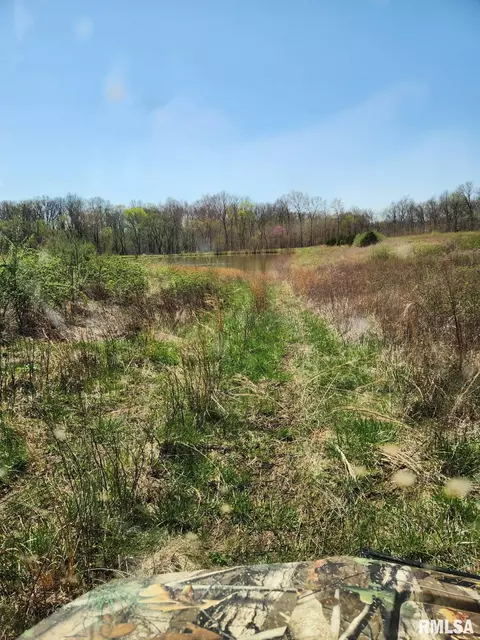 0000 N Flamingo Ln, Scheller, IL 62883 photo 5