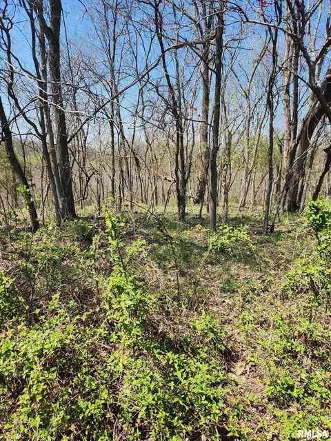 0000 N Flamingo Ln, Scheller, IL 62883 photo 13