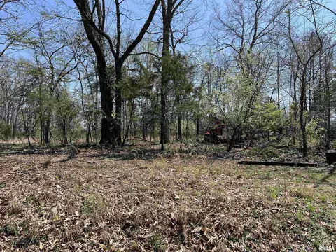 lot442 Thompson Dr, Goreville, IL 62939