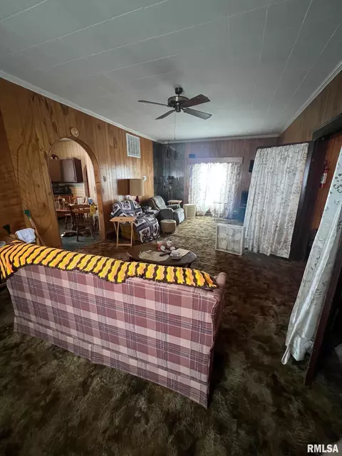 401 S Victor St, Christopher, IL 62822 photo 9
