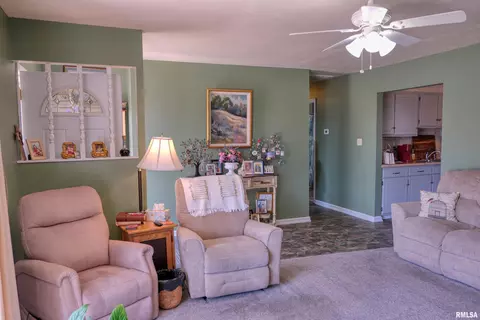 1006 Roberta Dr, Murphysboro, IL 62966 photo 6