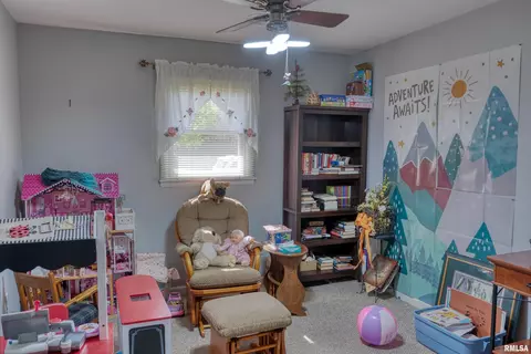 1006 Roberta Dr, Murphysboro, IL 62966 photo 14