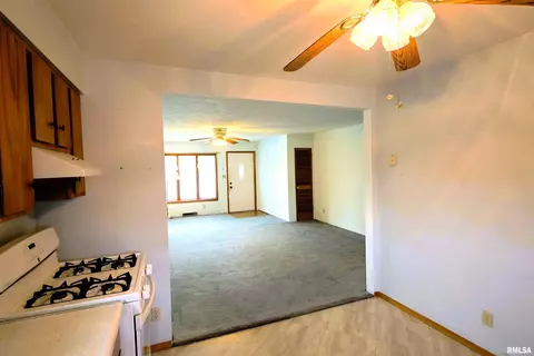 1305 S Pne, Centralia, IL 62801 photo 6