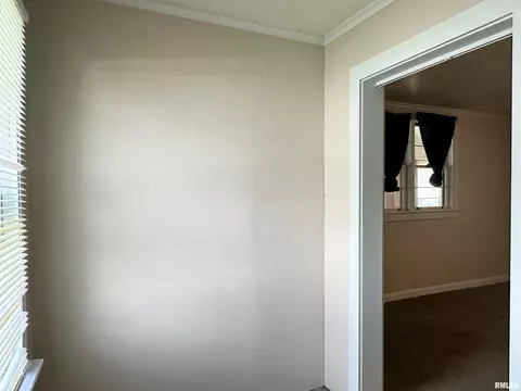 403 S State St, Christopher, IL 62822 photo 27