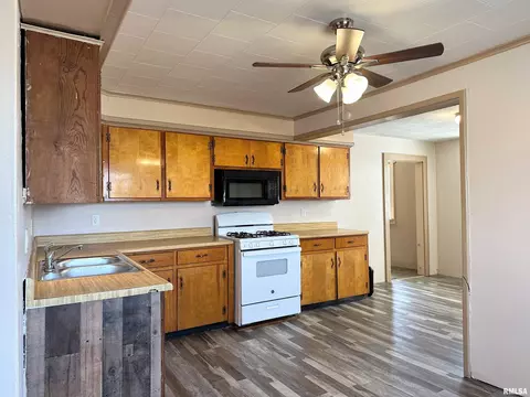 403 S State St, Christopher, IL 62822 photo 18