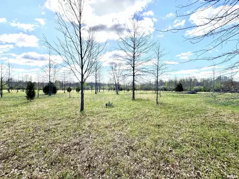 000 E County Road 950 Rd, Cisne, IL 62823 photo 17