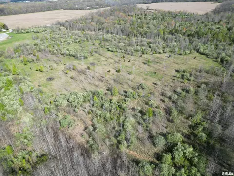 000 E County Road 950 Rd, Cisne, IL 62823 photo 8