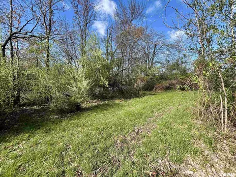 000 E County Road 950 Rd, Cisne, IL 62823 photo 16