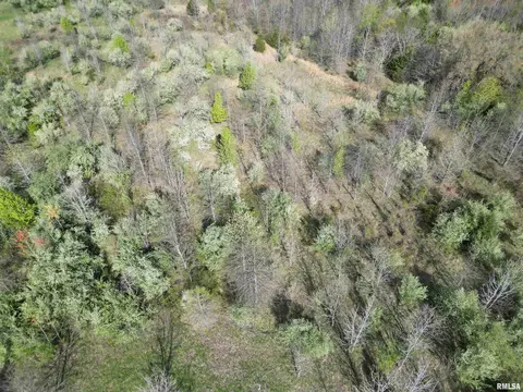 000 E County Road 950 Rd, Cisne, IL 62823 photo 7