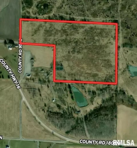000 E County Road 950 Rd, Cisne, IL 62823 photo 18
