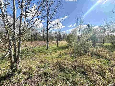 000 E County Road 950 Rd, Cisne, IL 62823 photo 15