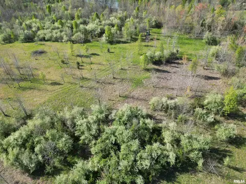 000 E County Road 950 Rd, Cisne, IL 62823 photo 6